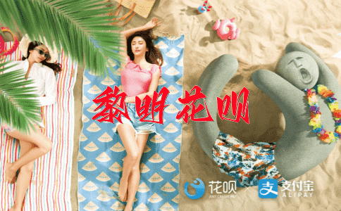 大相径庭花呗